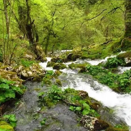 Kır Evi Camangu Camango