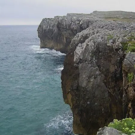 Camangu * Camango