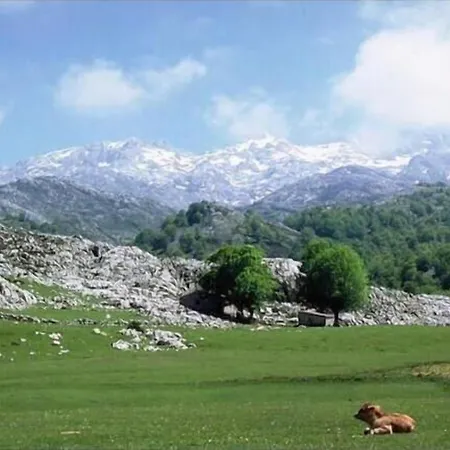 Kır Evi Camangu Camango