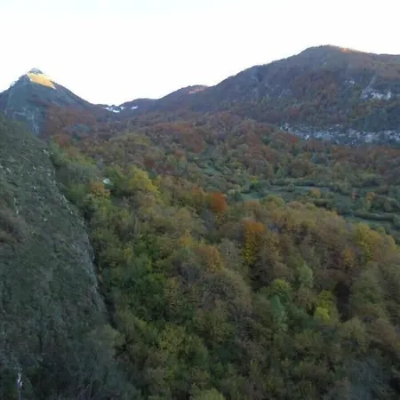 Camangu Camango