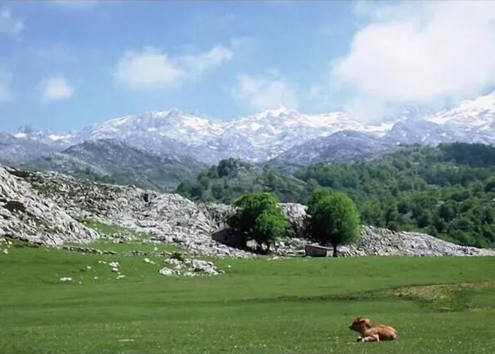 Casa rural Camangu Camango