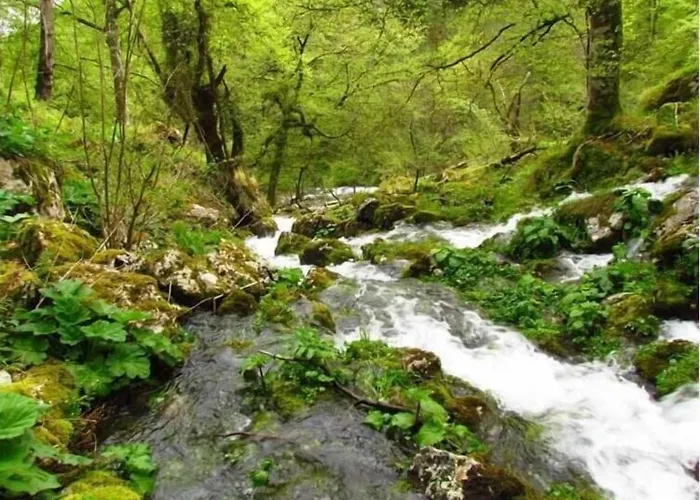 Venkovský dům Camangu Camango